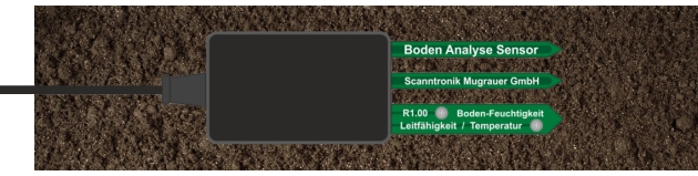 Ein in den Erdboden eingeführter Boden Analyse Sensor